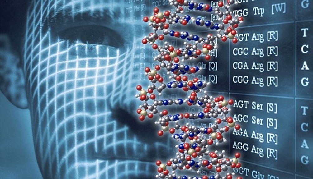 Human DNA